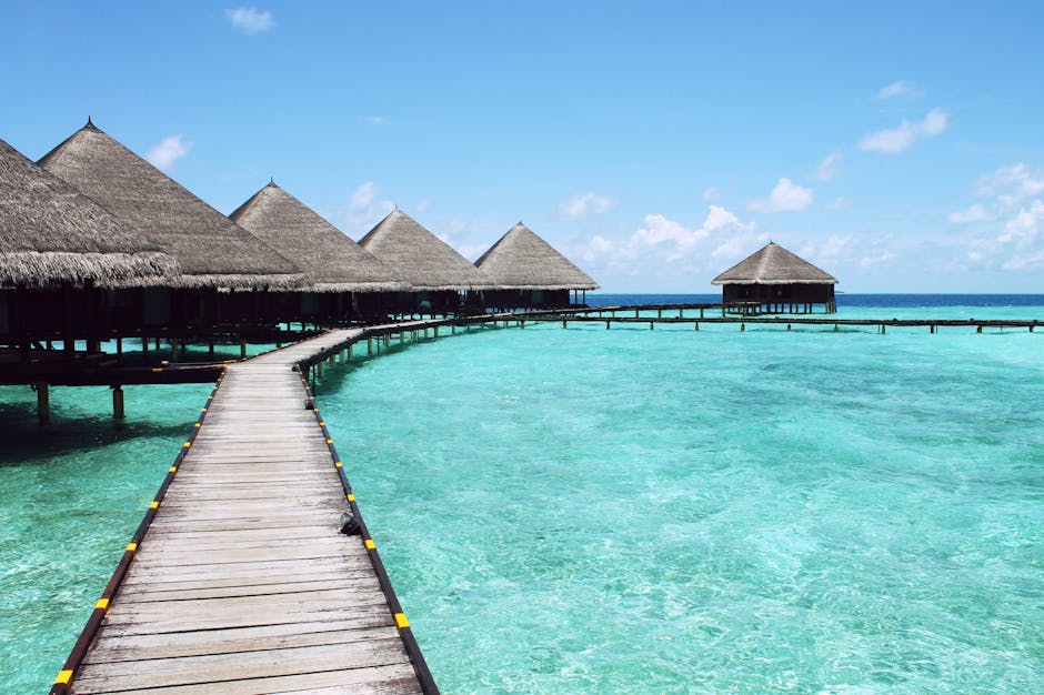 Jungle Island Retreat Resorts With Crystal Lagoon Views